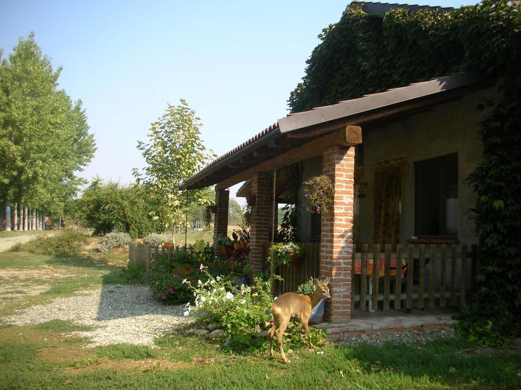 Villa Cascina Beneficio à Castelnuovo Bormida Extérieur photo