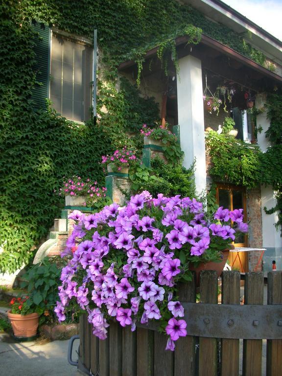 Villa Cascina Beneficio à Castelnuovo Bormida Extérieur photo